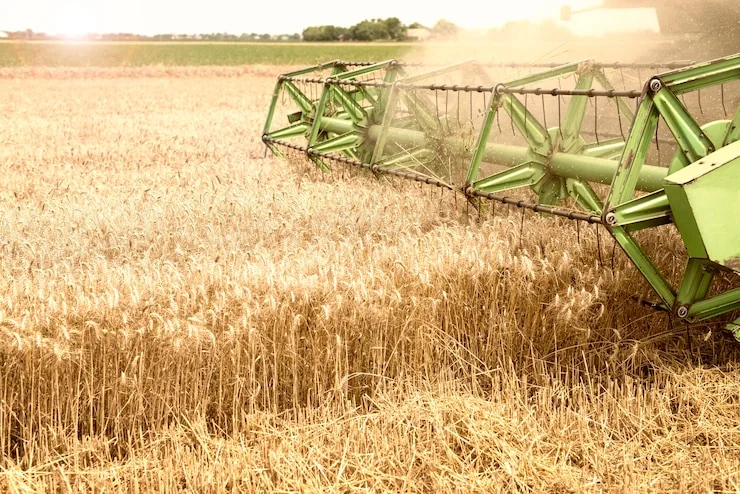 PhD in Agronomy